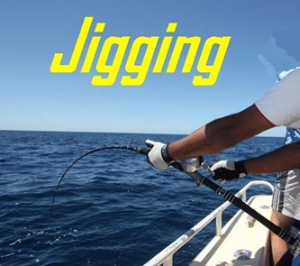Εικόνα για την κατηγορία Jigging-Cast Jigging-Off Shore Cast