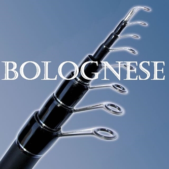 Picture for category Bologneze