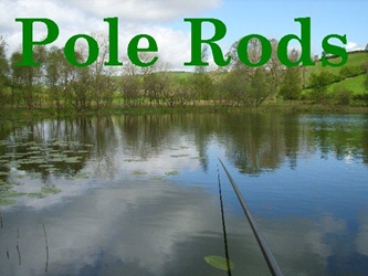 Εικόνα για την κατηγορία ΑΠΙΚΟ - STIPP