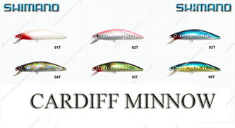 Picture for category CARDIFF MINNOW