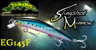 Picture for category SLINGSHOT MINNOW