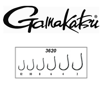 Εικόνα της ΑΓΚΙΣΤΡΙ GAMAKATSU 3620