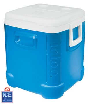 Εικόνα της Ψυγείο IGLOO ICE CUBE 48(45,5L)