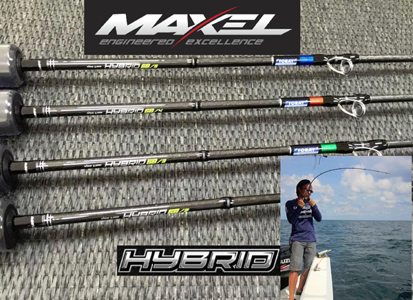 maxel hybrid 25