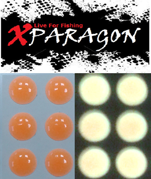 Εικόνα της X-PARAGON EYES FLUO-GLOW ORANGE 9302