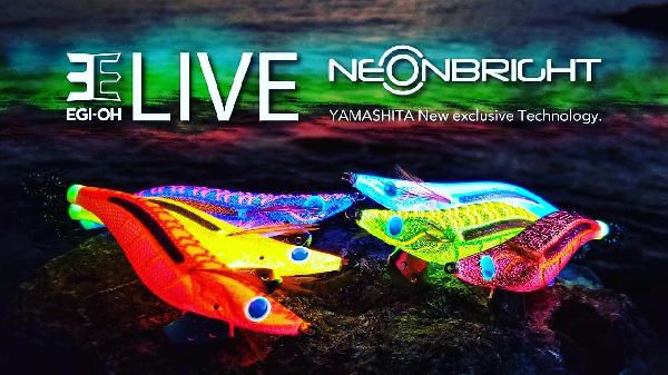 ΚΑΛΑΜΑΡΙΕΡΑ YAMASHITA LIVE 3.0 NEONBRIGHT
