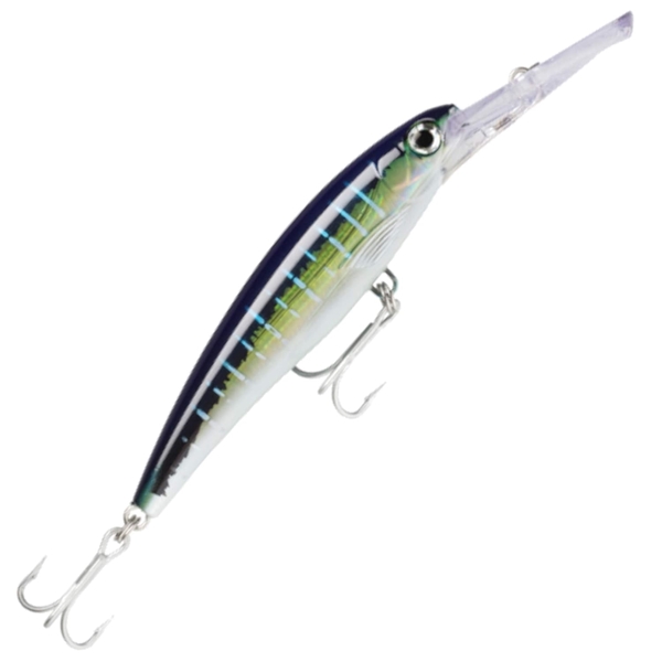 Rapala (X-rap) XRMAG - SFU (UV) (Sail Fish)