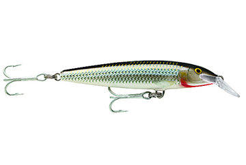 Εικόνα της Rapala magnum (F) FMAG SH
