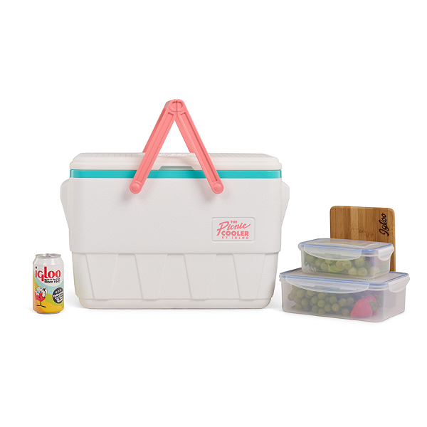 ΨΥΓΕΙΟ IGLOO PICNIC 25 41601