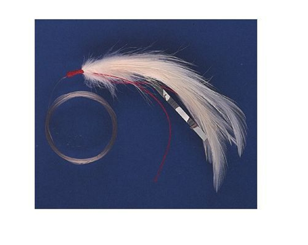 ΦΤΕΡΟ ΜΕ ΣΑΛΑΓΓΙΑ Νο 4 KALI