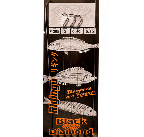 ΑΡΜΑΤΩΣΙΑ BLACK DIAMOND RIGINGU F-305 INOX