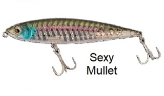 ΨΑΡΑΚΙ VERTEBRATA TOP WATER 110F 001