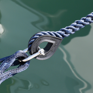 Εικόνα της ΡΟΔΑΝΤΖΑ ΛΑΣΤΙΧΕΝΙΑ DOUGLAS MARINE 00334