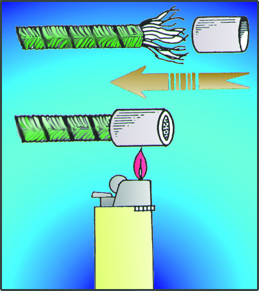 ΤΕΛΕΙΩΜΑ ΑΚΡΩΝ ΓΙΑ ΣΧΟΙΝΙΑ 01668