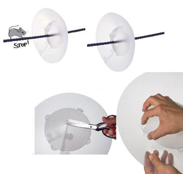 ΣΥΣΚΕΥΗ ΑΠΟΜΑΚΡΥΝΣΗΣ ΤΩΝ ΠΟΝΤΙΚΙΩΝ 01666