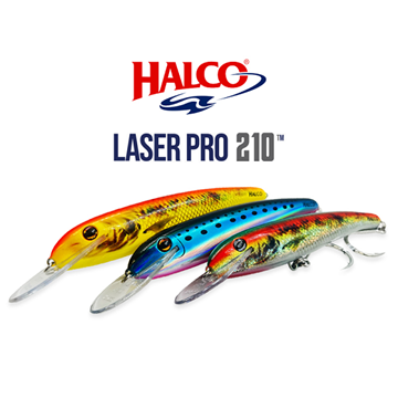 Εικόνα της ΤΕΧΝΗΤΟ ΔΟΛΩΜΑ HALCO LASER PRO 210